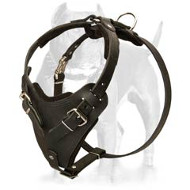 LEATHER AGITATION HARNESS for Pitbull