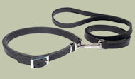 Leather Patent Dog Leash collar for Pitbull