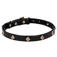 'Rhombi' Studded Leather Dog Collar with Brass Plated Adornment