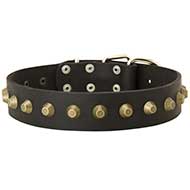 Gorgeous Wide Leather Dog Collar with Brass Studs
