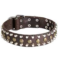 High Quality Leather Pitbull Collar with Pyramids and Studs