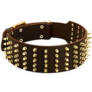 Spiked Leather Dog Collar-High Quality Leather Dog Collar 70 mm wide