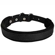Innovative Pitbull Collar - Felt Padded Leather Dog Collar for Attack/Agitation training 1 inch (2.5cm) width