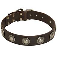 Leather Dog Collar with Silver Conchos
