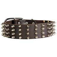 2 inch Wide Leather Spiked Dog Collar for Pitbull 2 inch Wide Leather Spiked Dog Collar for Pitbull