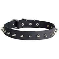 Leather Spiked Dog Collar for Pitbull Training and Walking Leather Spiked Dog Collar for Pitbull Training and Walking