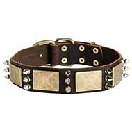 Gorgeous War Design Dog Leather Collar Gorgeous War Design Dog Leather Collar