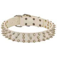 New Fashionable White Leather Dog Collar with 3 Rows of Spikes New Fashionable White Leather Dog Collar with 3 Rows of Spikes