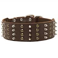 Wide Spiked and Studded Leather Collar for Pitbull Wide Spiked and Studded Leather Collar for Pitbull