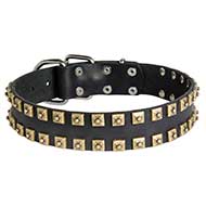 Newly-Designed Leather Pitbull Collar with Two Rows of Brass Studs
