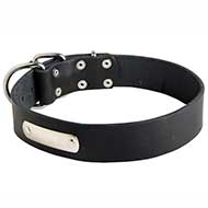 Special Leather Dog Collar with Pet Name Tag for Pitbull Breed Special Leather Dog Collar with Pet Name Tag for Pitbull Breed