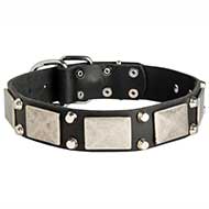 Precious Pitbull Collar - 2 Pyramids + Plate Adorned Leather Collar