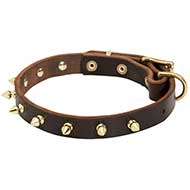 Spiked Leather Dog Collar-Luxurious Dog Collar with Handmade BRASS Spikes Spiked Leather Dog Collar-Luxurious Dog Collar with Handmade BRASS Spikes