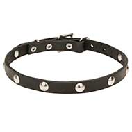 "Shiny Necklace" Leather Dog Collar with Chrome Plated Round Studs 3/4 Inch (20 mm) Wide