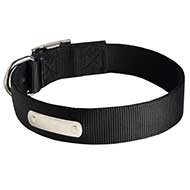 Buy 2 Ply Nylon Dog Collar w/h name tag/Metal Buckle