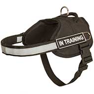 Reflective Nylon Dog Harness with Handle