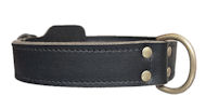 Pitbull K9 Leather Agitation Collar aprox.2 Wide