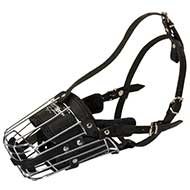 'No Mash' Best Wire Dog Muzzle with Soft Leather Lining for Handsome Pitbull