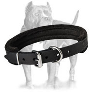 Leather Dog Collar