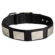 Custom Nylon Dog Collar For Large Dog Breeds With Vintage Plates