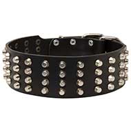 Wide Special Leather Dog Collar-Pyramid Studded Leather Dog Collar For Pitbulls
