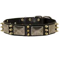 Gorgeous War Leather Dog Collar with Massive Plates+3 Brass Spikes