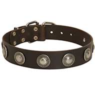 Deluxe Leather Dog Collar with Jewelry for Pitbull