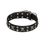 FDT Artisan 'Rock 'n' Roll Style' Leather Pitbull Collar with Skulls, Bones and Studs 1 1/2 inch (40 mm) wide