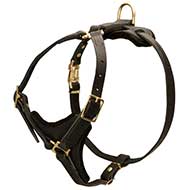 Tracking / Walking Dog Harness for Pitbull - Uniquely Made Professional Dog Equipment
