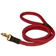 Round Nylon Leash With Brass Snap Hook for Pitbull