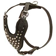 Pyramid Studded Leather Dog Harness-Hand Crafted High Quality Dog Armor
