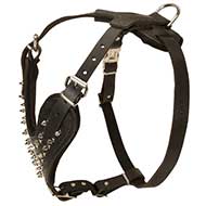 Order Now Spiked Dog Harness Specially Designed by our Manufacturers