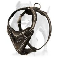Handmade NEW Pitbull Leather Dog Harness with Barbed Wire Hand Painting