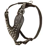 Spiked Leather Dog Harness for Pitbull - Custom Dog Harness