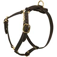 Luxury Handcrafted Leather Dog Harness For American Pitbull Terrier
