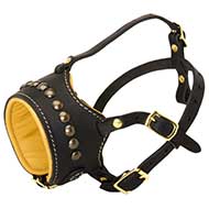 Nappa Padded Dog Muzzle-No Bite Exclusive Dog Muzzle for Pitbull