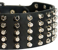 Pyramid Studs on Leather Dog Collar for Pitbull