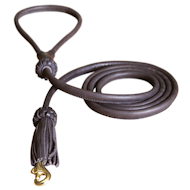 Uniquely Decorated Leather Round Dog Leash for Pitbull ( 1/4 inch wide)