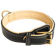 Exclusive Leather Dog Collar with Royal Nappa Padding