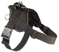 Looking for EzyDog Harness for Pitbull