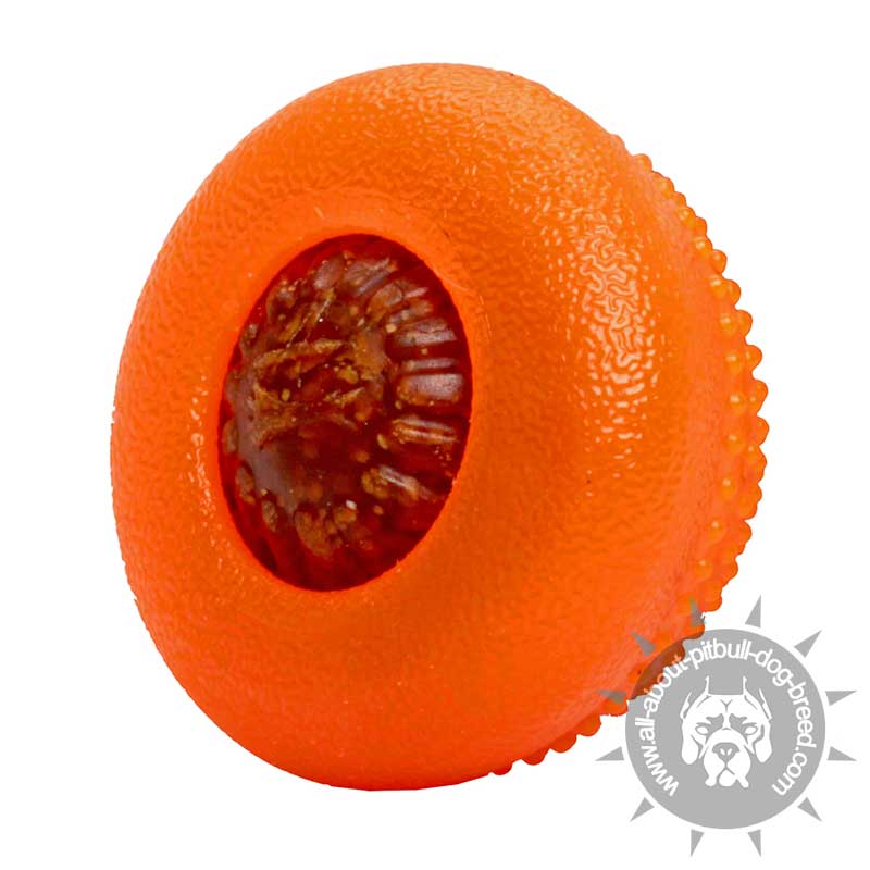 Semisphere Chewing Treat Toy Small Sized Semisphere Chewing Treat Toy Small Sized