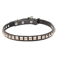 'King Studs' Leather Pitbull Collar with Pyramid-like Studs