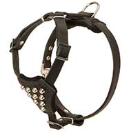 Stylish Studded Leather Harness for Pitbull Puppies Stylish Studded Leather Harness for Pitbull Puppies
