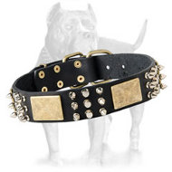 Best Spiked Leather Dog Collar-brass massive plates& nickel spike, cone