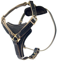 Tac-Black Leather Padded Tracking Harness for Pitbull
