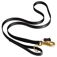 Any Weather Nylon Leads with Extra Strong Snap Hook for Pitbull