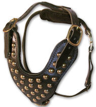 Two-Ply Latigo Dog Harness with Studs for Pitbull