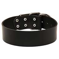 Pitbull 2 inch Wide Leather Dog Collar for Every Day
