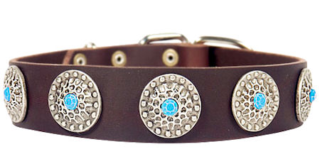 female dog leashes