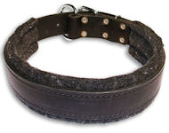 Wide Stitched Leather Dog Collar-D Ring in Front Pitbull
